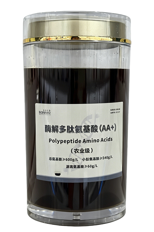 酶解多肽氨基酸.png