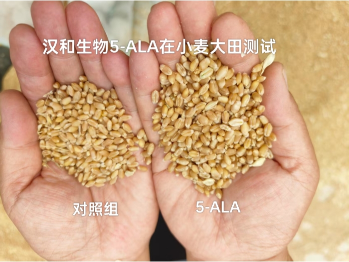 增产.jpg