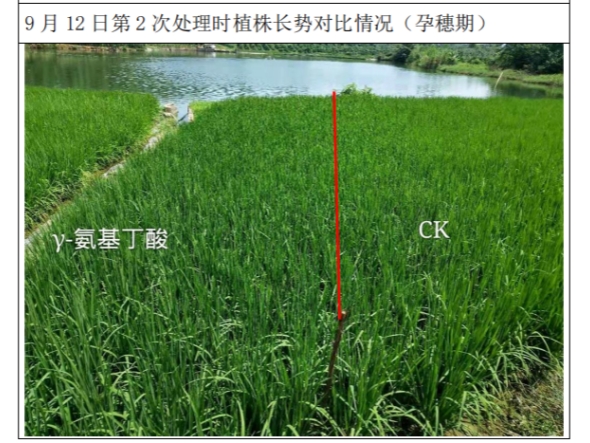 保产.jpg