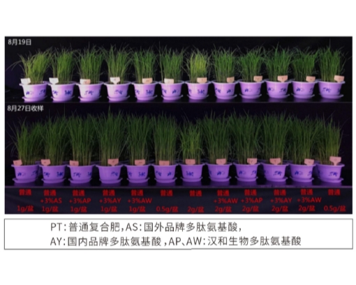 bad67868-d1aa-4e1a-97fd-ce6ebaa1c0e4.jpg