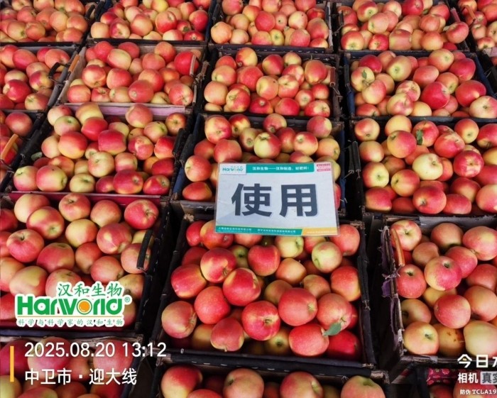 e13542ef-5641-45ec-a15a-20b38ae7e956.jpg