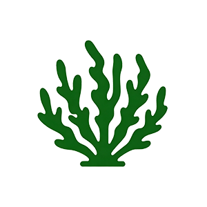 抠图与清晰度调整-(27).png